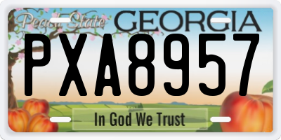 GA license plate PXA8957