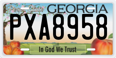 GA license plate PXA8958