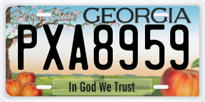 GA license plate PXA8959