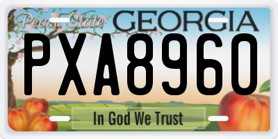 GA license plate PXA8960