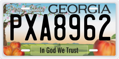 GA license plate PXA8962