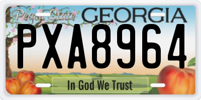 GA license plate PXA8964