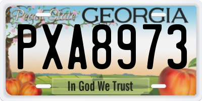 GA license plate PXA8973