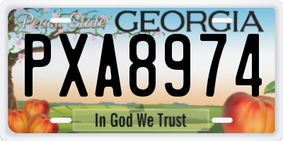 GA license plate PXA8974