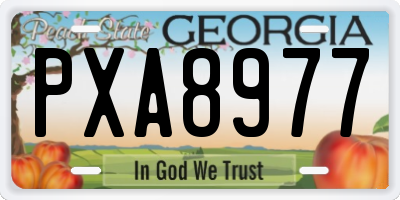 GA license plate PXA8977
