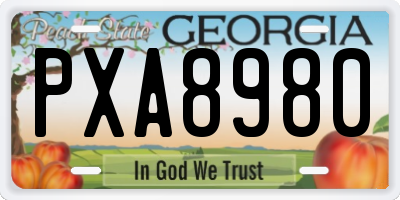 GA license plate PXA8980