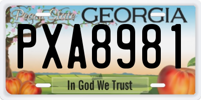 GA license plate PXA8981