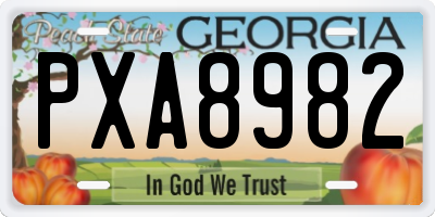 GA license plate PXA8982