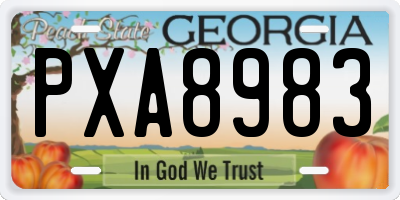 GA license plate PXA8983