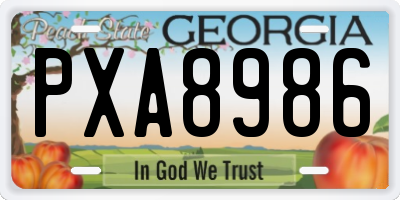 GA license plate PXA8986