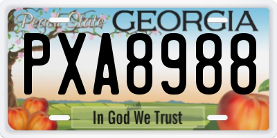 GA license plate PXA8988