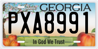 GA license plate PXA8991