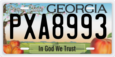 GA license plate PXA8993