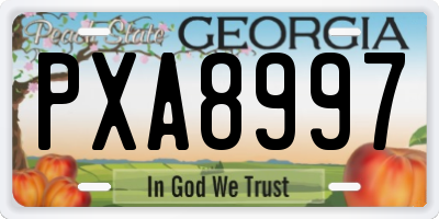 GA license plate PXA8997
