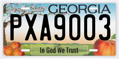 GA license plate PXA9003