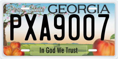 GA license plate PXA9007