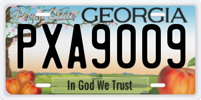 GA license plate PXA9009