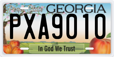 GA license plate PXA9010