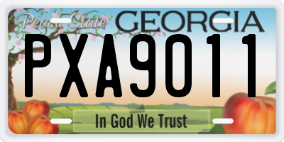 GA license plate PXA9011