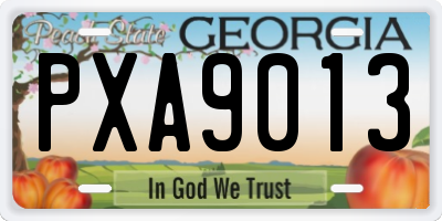 GA license plate PXA9013