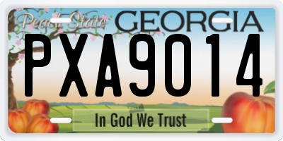 GA license plate PXA9014