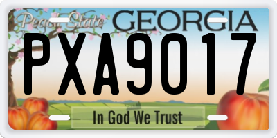 GA license plate PXA9017