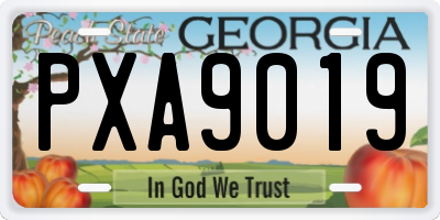 GA license plate PXA9019