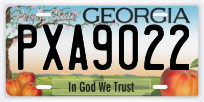 GA license plate PXA9022