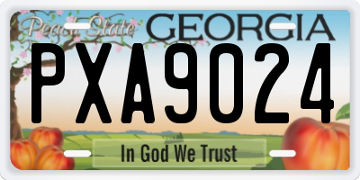 GA license plate PXA9024