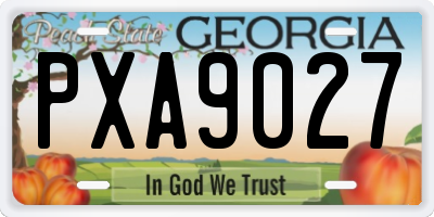 GA license plate PXA9027