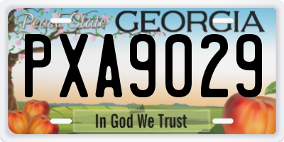 GA license plate PXA9029