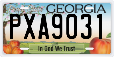 GA license plate PXA9031