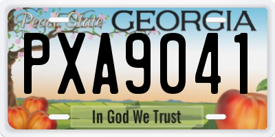 GA license plate PXA9041