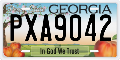 GA license plate PXA9042
