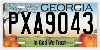 GA license plate PXA9043
