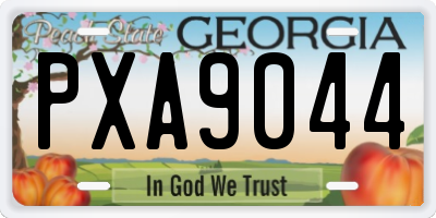 GA license plate PXA9044