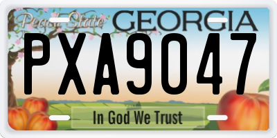 GA license plate PXA9047