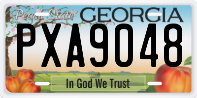 GA license plate PXA9048