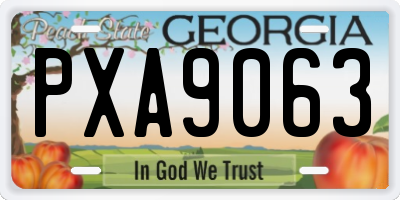 GA license plate PXA9063