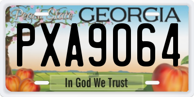 GA license plate PXA9064