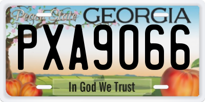 GA license plate PXA9066