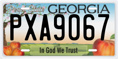 GA license plate PXA9067