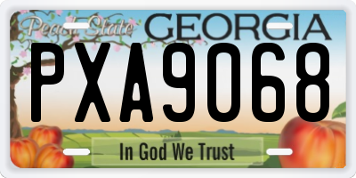 GA license plate PXA9068