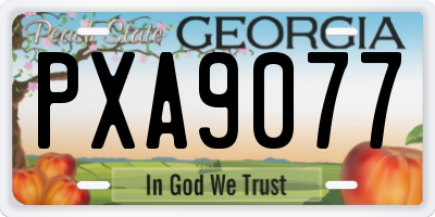 GA license plate PXA9077