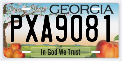 GA license plate PXA9081