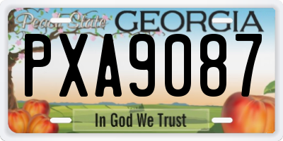 GA license plate PXA9087
