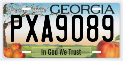 GA license plate PXA9089