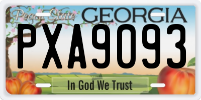 GA license plate PXA9093