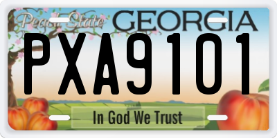 GA license plate PXA9101