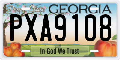 GA license plate PXA9108